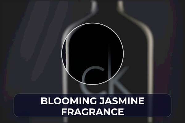 blooming jasmine fragrance