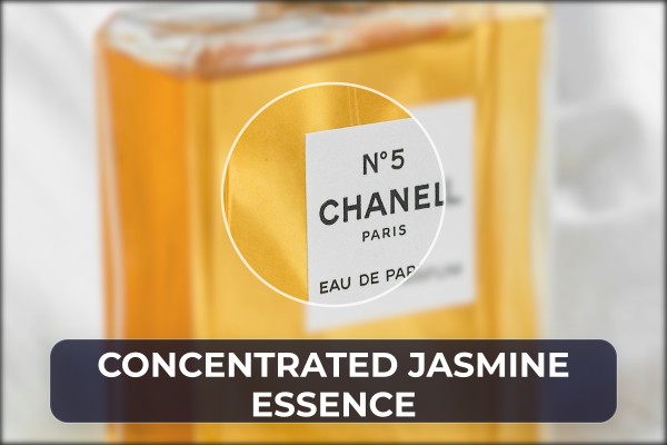 concentrated jasmine essence