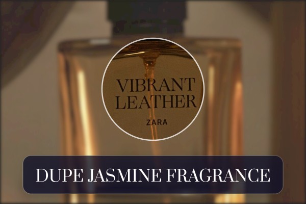 dupe jasmine fragrance