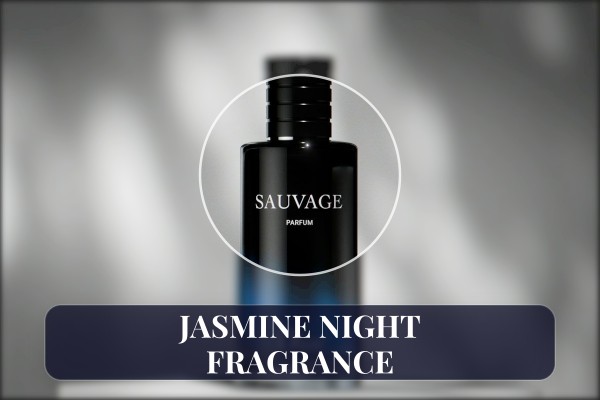 jasmine night fragrance