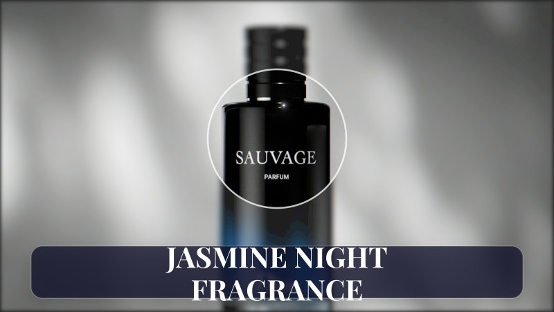 jasmine night fragrance