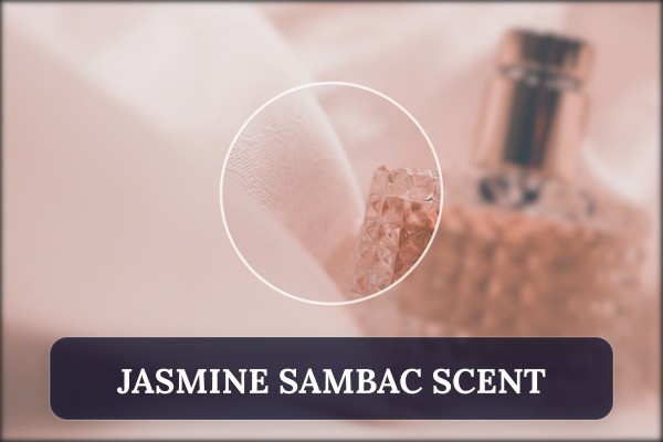 jasmine sambac scent