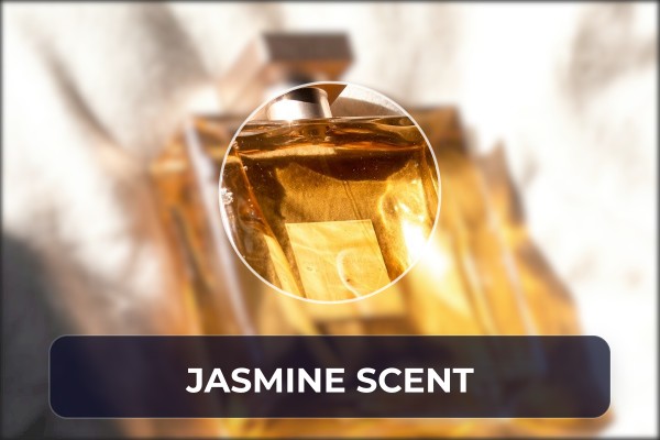 jasmine scent