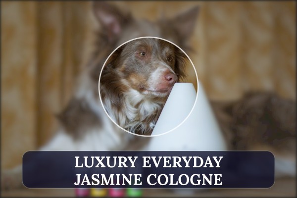 luxury everyday jasmine cologne