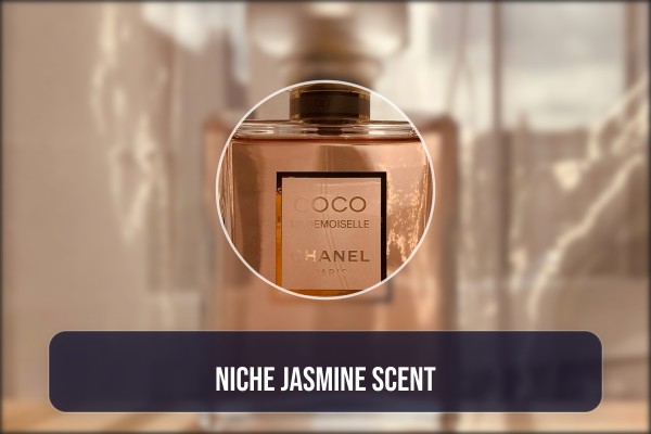 niche jasmine scent