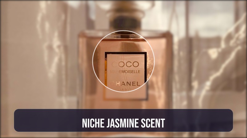 niche jasmine scent