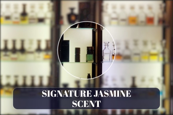 signature jasmine scent