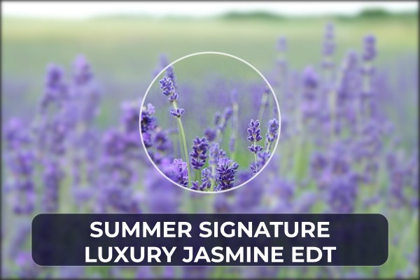 summer signature luxury jasmine edt