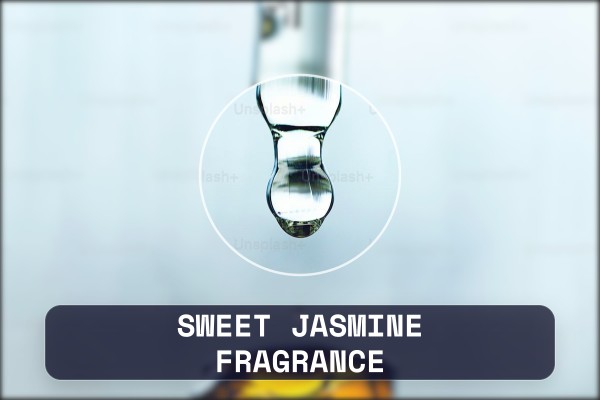 sweet jasmine fragrance
