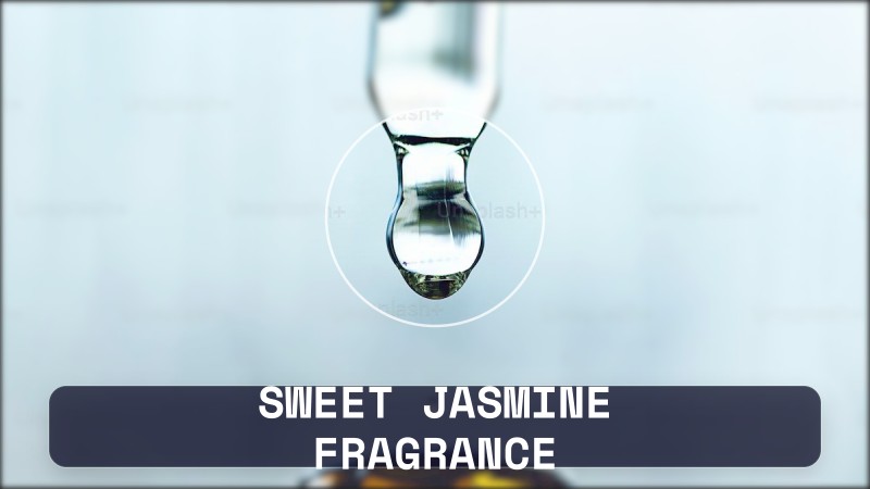 sweet jasmine fragrance