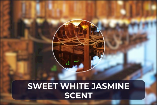 sweet white jasmine scent