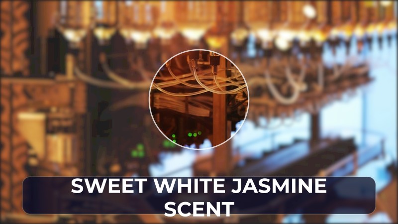sweet white jasmine scent