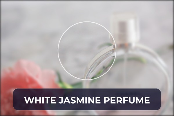 white jasmine perfume