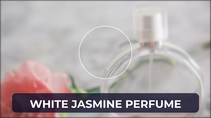 white jasmine perfume