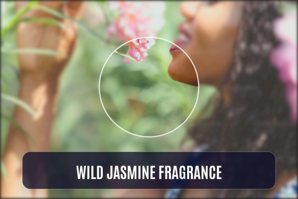 wild jasmine fragrance