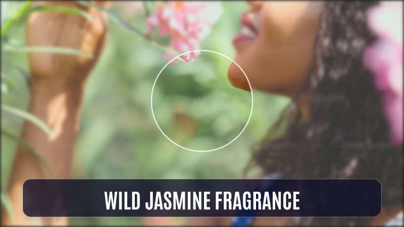 wild jasmine fragrance
