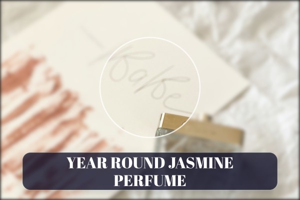 year-round jasmine perfume